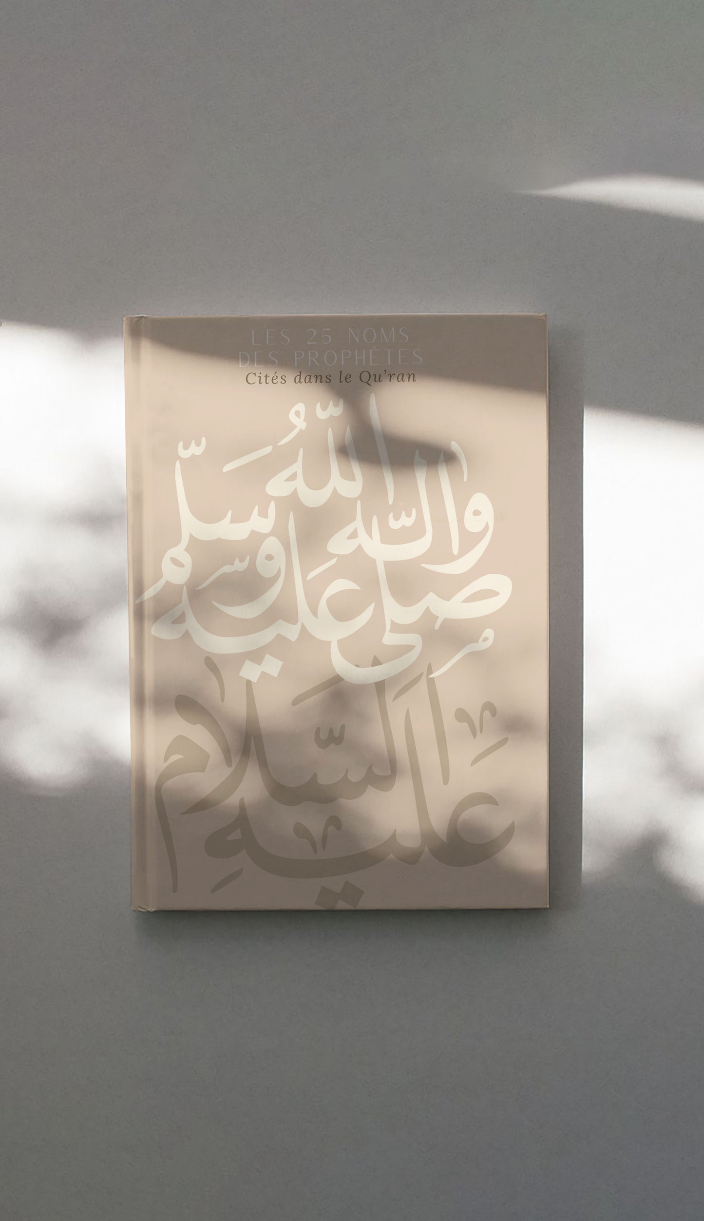 Box Les 25 Prophètes cités dans le Qu'ran