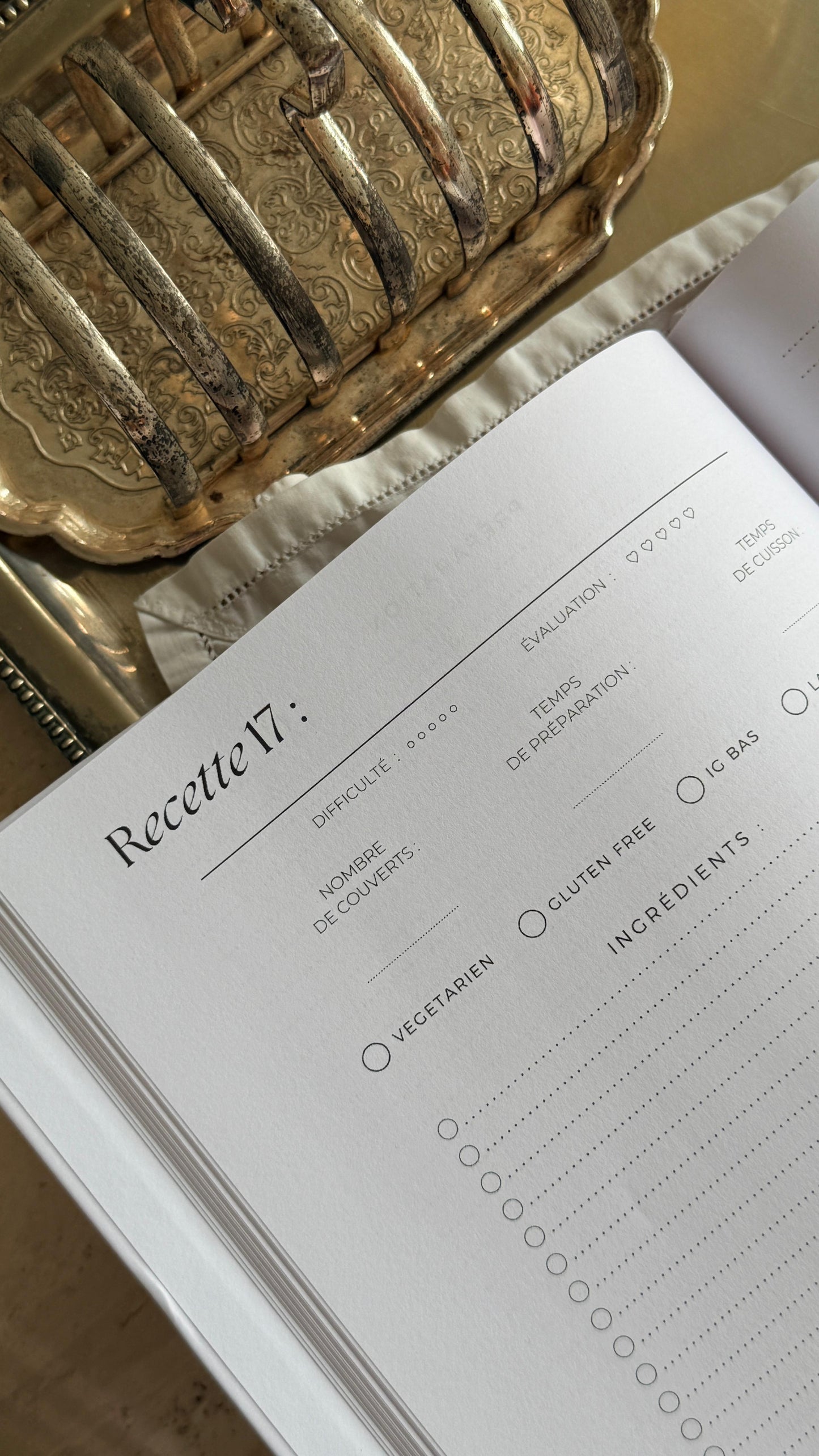 Mes 100 recettes (Broché) - Marron