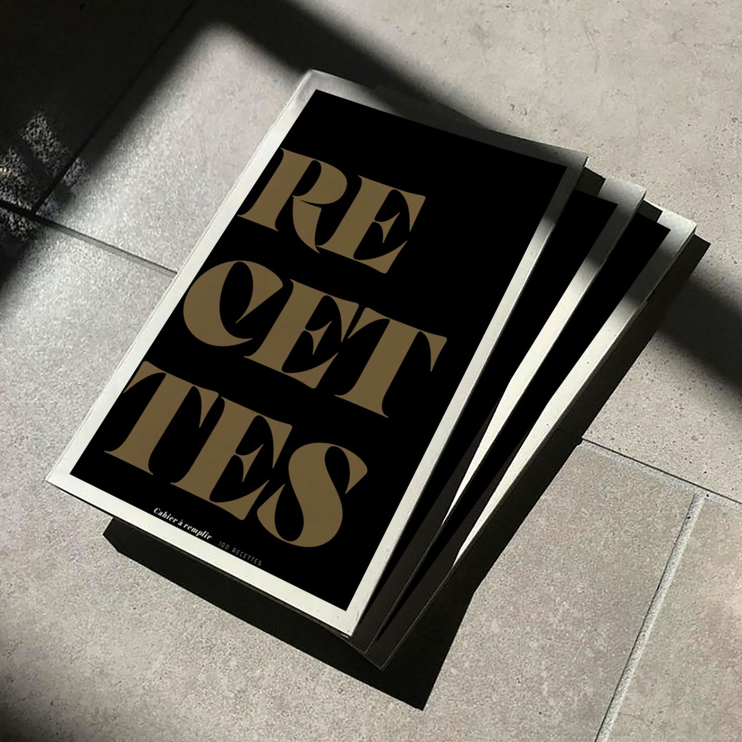 Mes 100 recettes (Broché) 1 semaine de délai