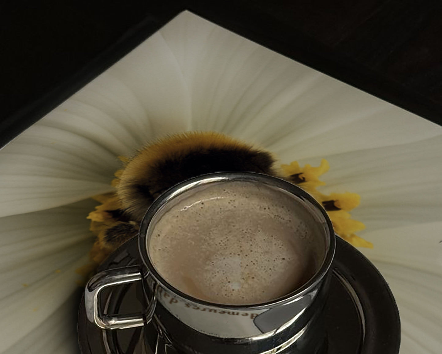 Coffret Tafakkur (Méditation) : Les Miracles du Qu'ran