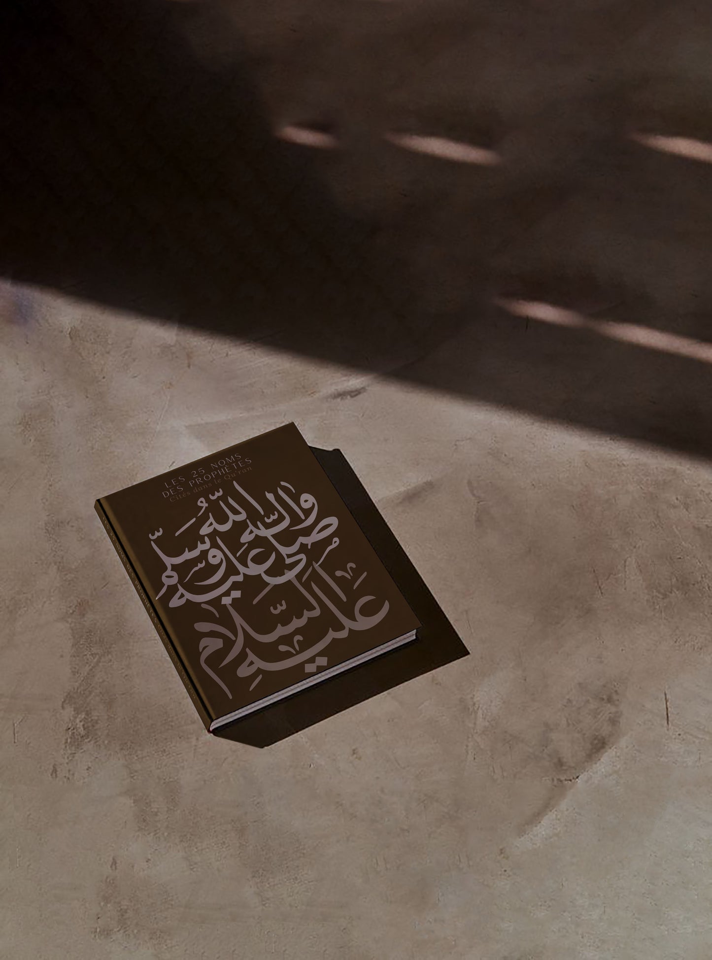 Box Les 25 Prophètes cités dans le Qu'ran