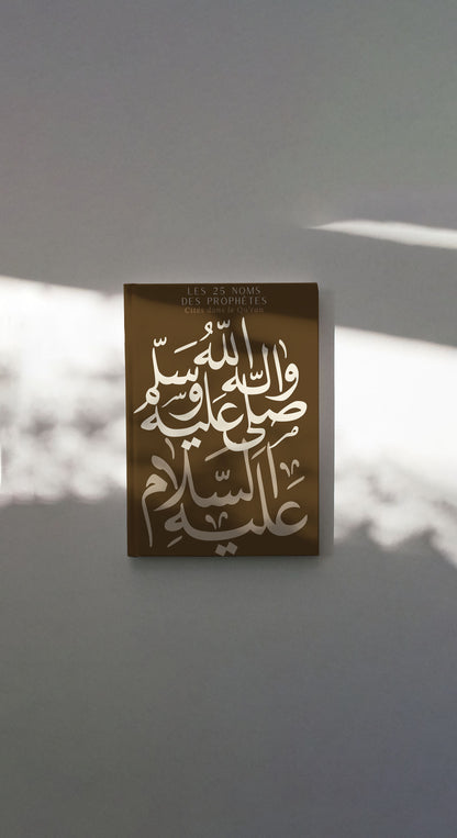Box Les 25 Prophètes cités dans le Qu'ran