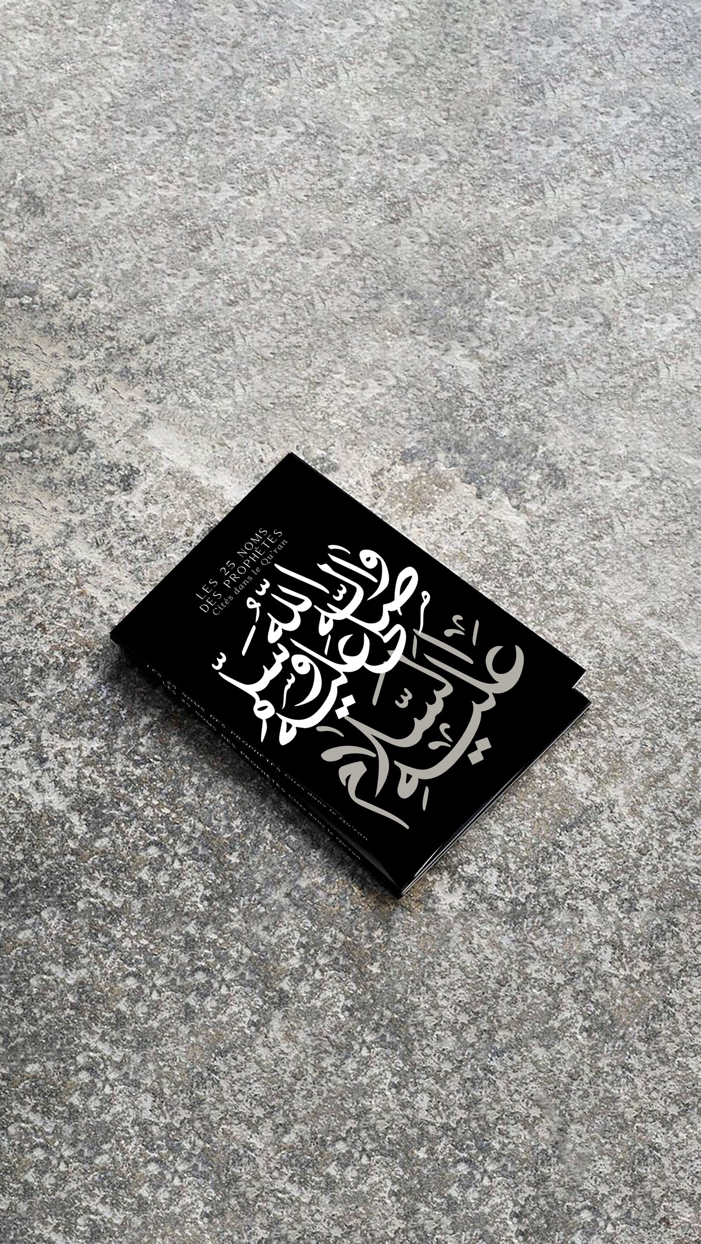 25 Prophètes cités dans le Qu’ran - Édition N&B (Broché)