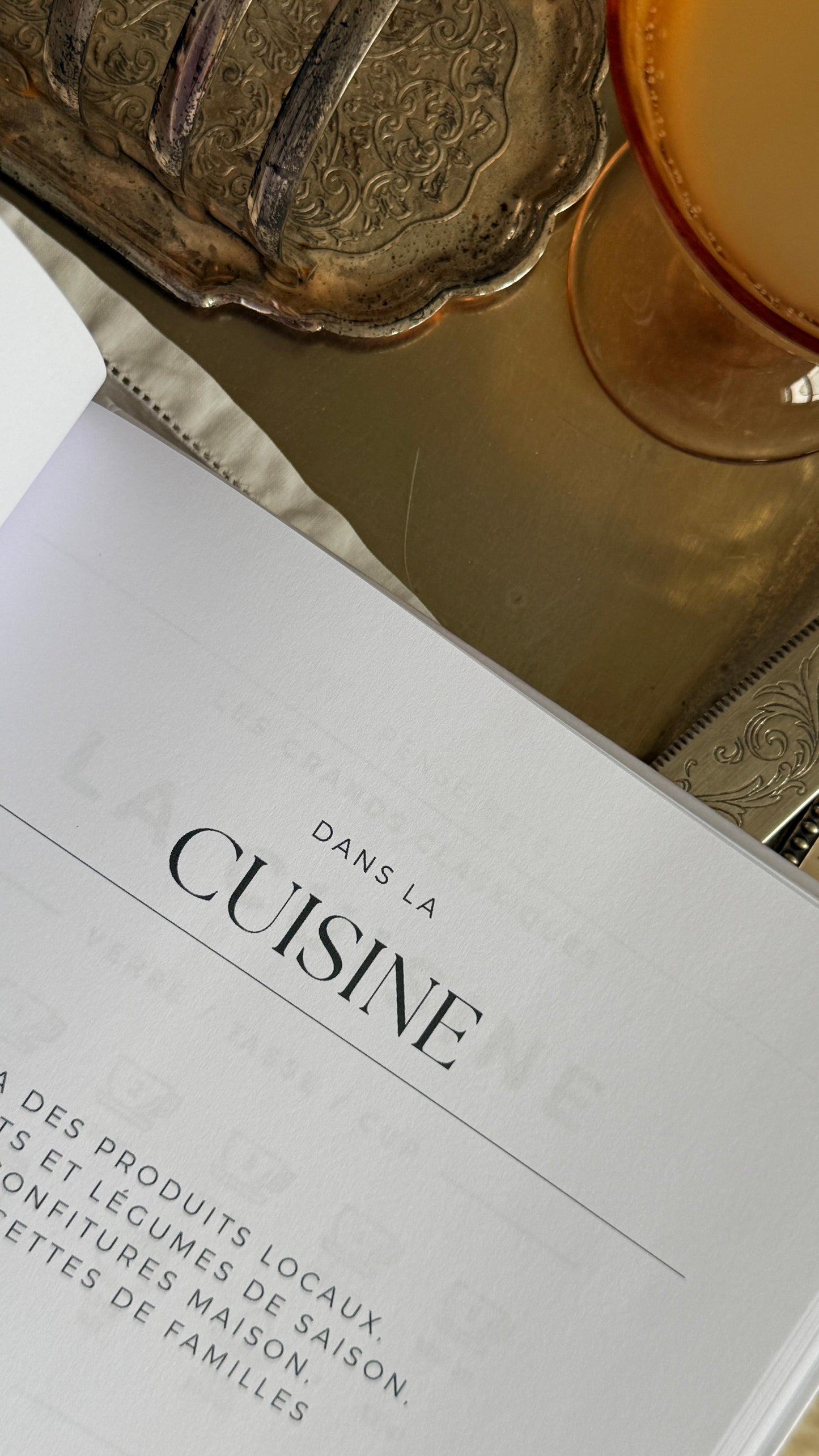 Mes 100 recettes (Broché) - Marron