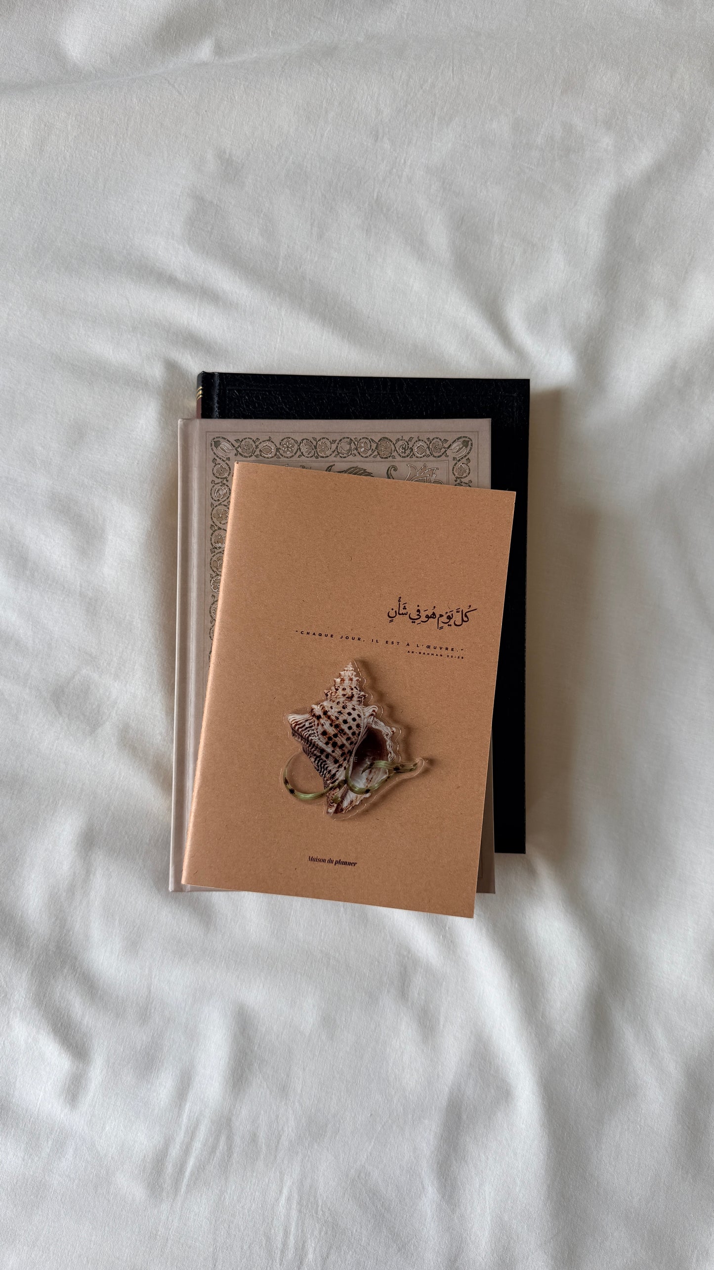 Magnet  - Amour & Coquillage maxi