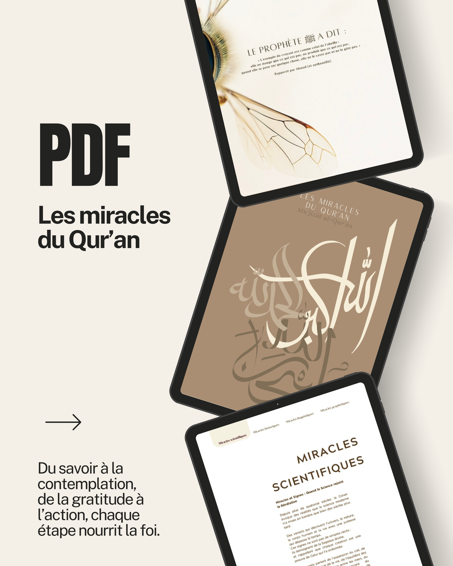 Les miracles du Qur’an - Muʿjizāt al-Qur’ān - Édition numérique